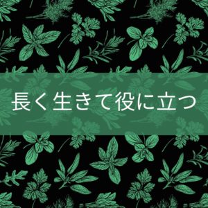 127：「長く働く事を目標にする」